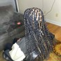 Medium Senegalese Twist