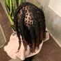 Starter locs 3” or shorter