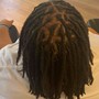 Starter Locs