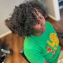 2 Strand Twist Out