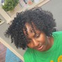 2 Strand Twist Out