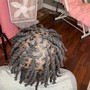 Starter locs (neck length and longer)