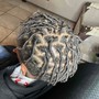 Starter Dreadlocks