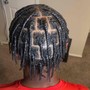 2 Strand Twist w/ wash included