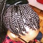 Meduim Box Braids