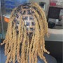 Everything's included dreadlocks (Ear length)