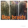 Box Braids