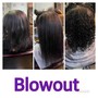 Root Touch Up