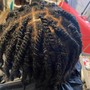 Natural Twists