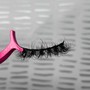 Lash Model