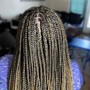 Individual Braids with crochet