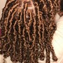 Butterfly Locs shoulder length ( Holiday Special)