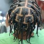 Starter Locs ( short to medium length )