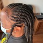 Micro Braids