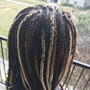 Large Feed in cornrows