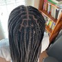 Large Feed in cornrows