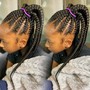 2 braided ponytail (reg length)