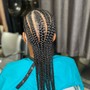 Feed in Braids (please read description)