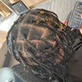 Starter Locs (Medium Length)