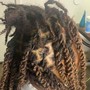 Hydration Steam Treatment on Locs