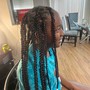 Poetic Justice Braids