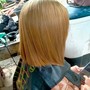 Women's Trim, Women's Cut, Bang Trim, Women’s Dry Cut