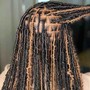 passion Twists (price is for mid-back length. It’s $230 for waist length)