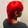 Color FOR CLIPPER CUT LENGTH (Sundays are an extra $30 to your service)