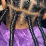 Loc Extensions