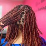 Loc Maintenance (Traditional/ Medium length)