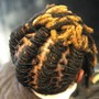 Comb Twist- Coils