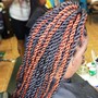 Medium Knotless Senegalese Twist