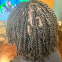 Large Natural Twists