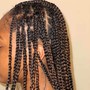 Starter locs