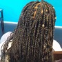 Feed-Ins (6-7 braids straight back)