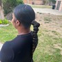 Frontal ponytail