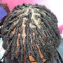 Starter Locs