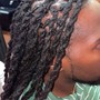 Starter Locs