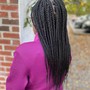 Jumbo Box Braids