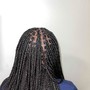 Box Braids