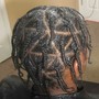 Plaits/Individual Braids