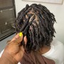 Loc retwist