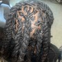 Root Touch Up