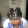 Two Strand twist (natural hair)