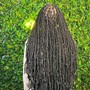 Lemonade Fulani Island Twists (Waist)