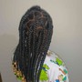 Medium Box Braids