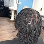 Marley Twist[waist length]