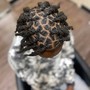 Twist Out