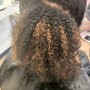 Root Touch Up