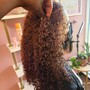 Root Touch Up